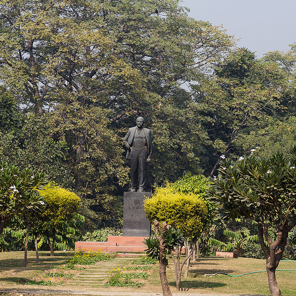 Plant,Branch,Tree,Sculpture,Grass,Woody plant,Natural landscape,Statue,Shrub,Tints and shades