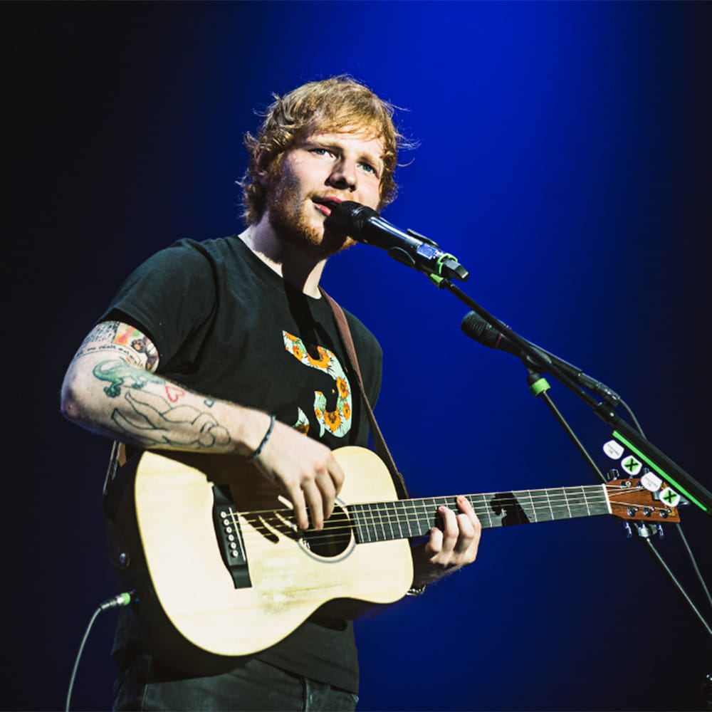 Microphone,Musical instrument,Guitar,Concert,String instrument,String instrument,String instrument accessory,Guitar accessory,Musician,Musical instrument accessory