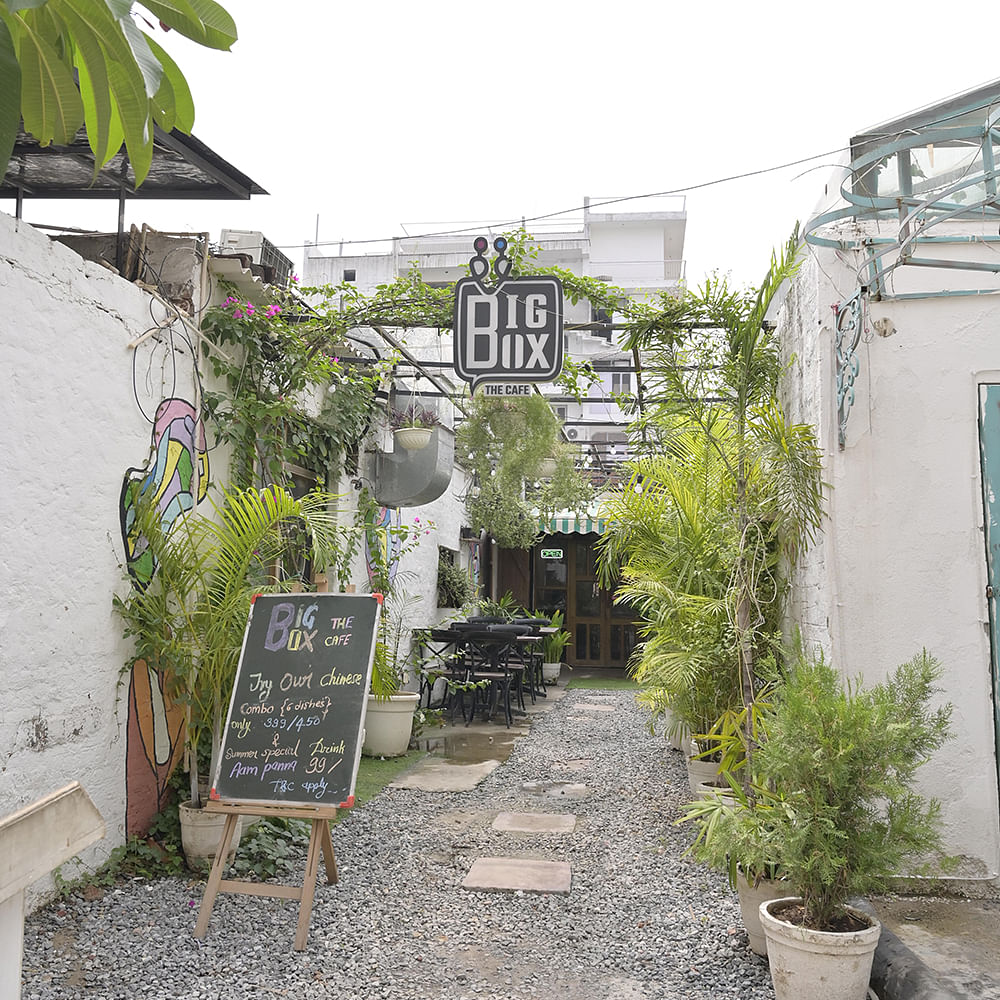 Plant,Flowerpot,Sky,Vegetation,Houseplant,Urban design,Biome,Building,Shrub,Landscape