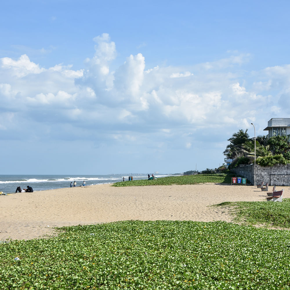 Cloud,Sky,Water,Daytime,Plant,Azure,Beach,Tree,Coastal and oceanic landforms,Natural landscape