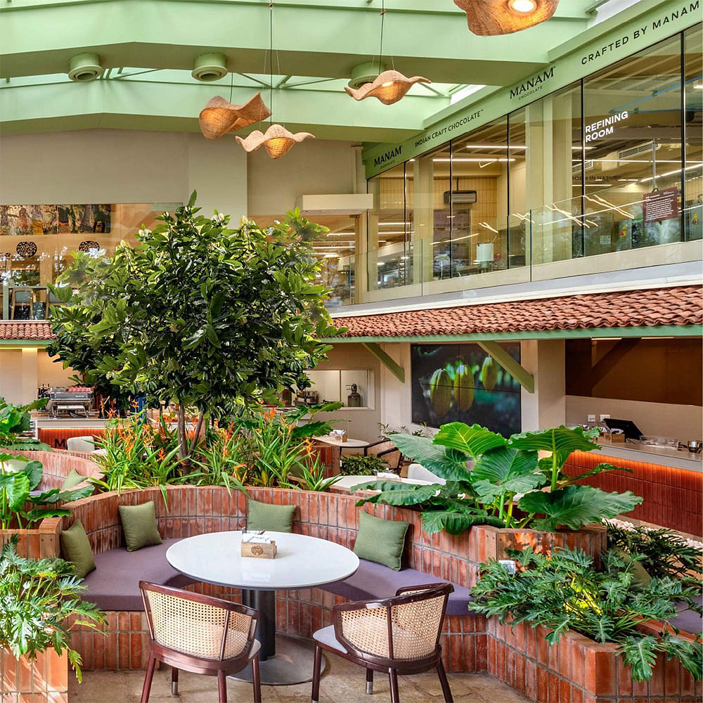 Plant,Furniture,Table,Building,Lighting,Interior design,Architecture,Yellow,Chair,Houseplant