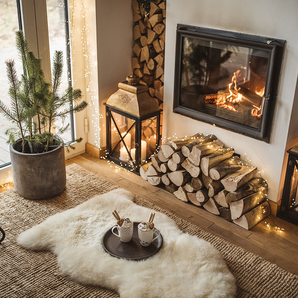 Plant,Wood,Living room,Interior design,Picture frame,Flowerpot,Houseplant,Floor,Flooring,Hearth