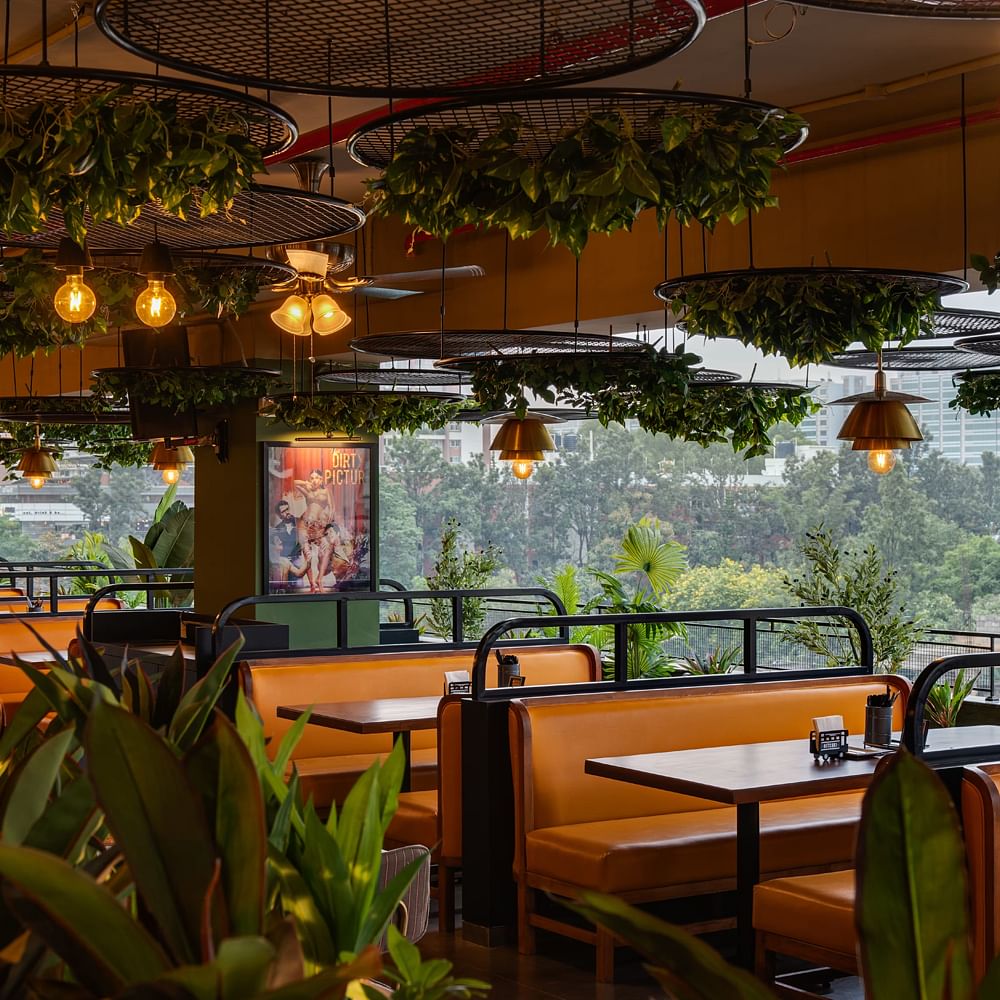 Table,Furniture,Plant,Property,Chair,Interior design,Window,Building,Shade,Houseplant