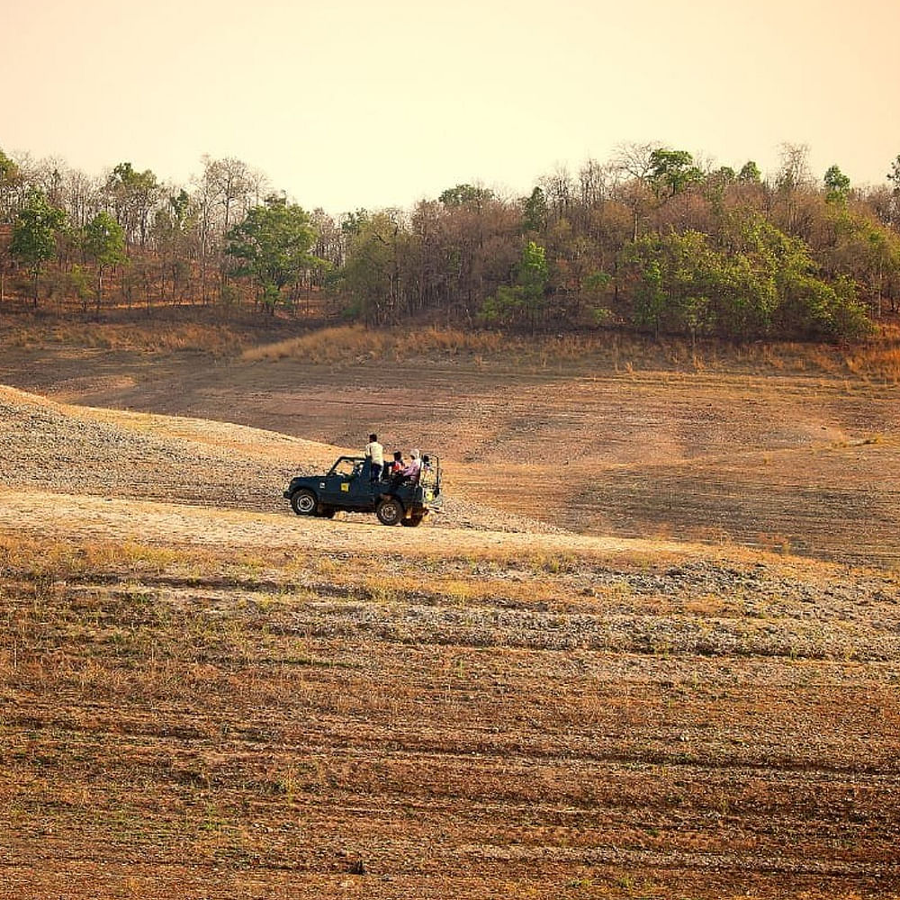 Tire,Wheel,Plant,Vehicle,Automotive tire,Sky,Off-road racing,Tree,Motor vehicle,Grass