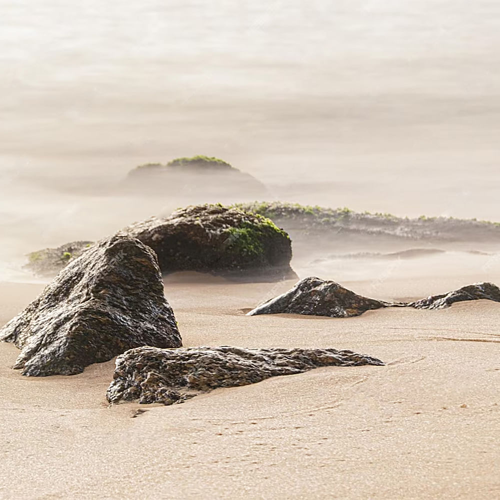 Water,Natural landscape,Sky,Coastal and oceanic landforms,Atmospheric phenomenon,Wood,Terrain,Cloud,Horizon,Landscape