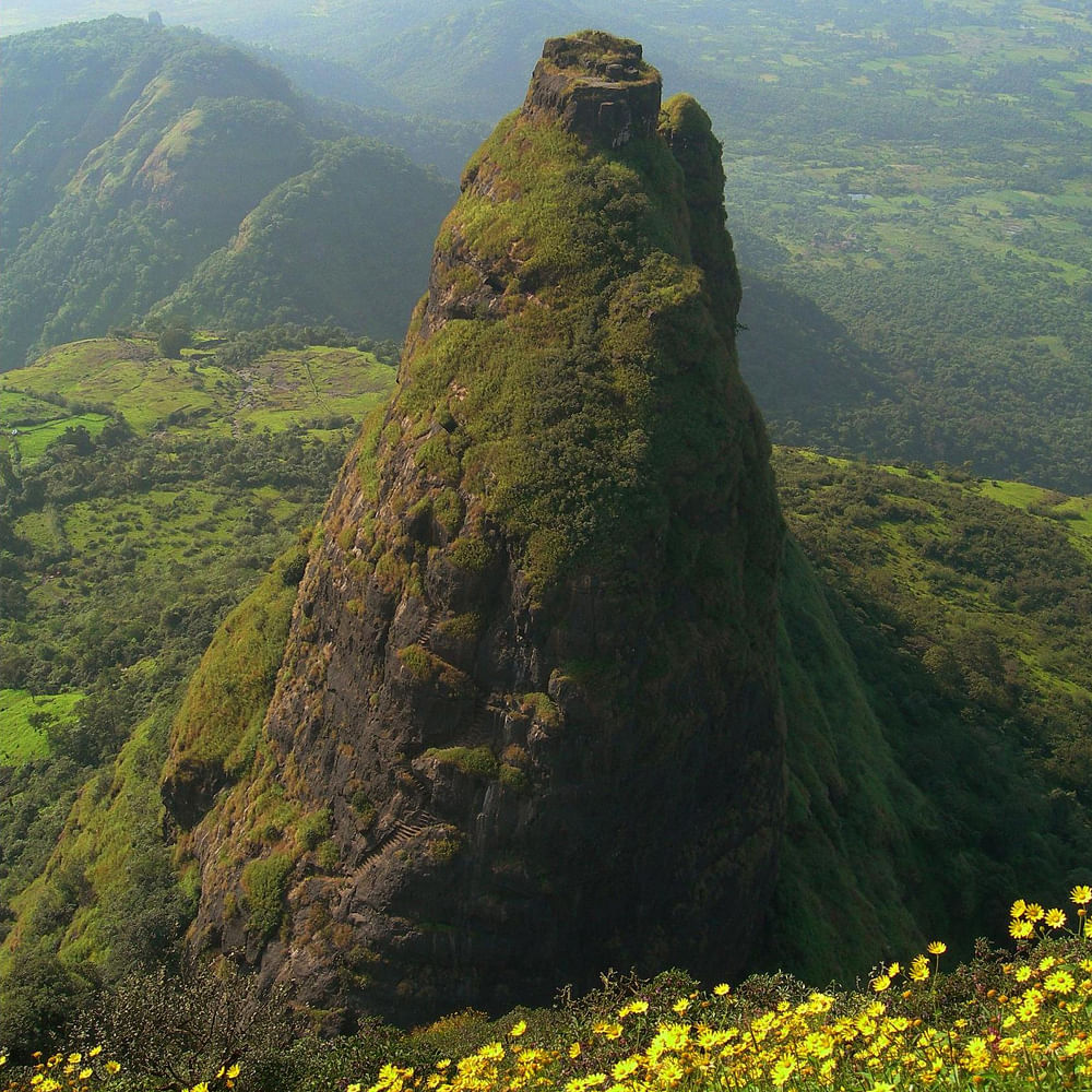 Mountain,Plant,Flower,Plant community,Ecoregion,Nature,Natural landscape,Sky,Grass,Vegetation