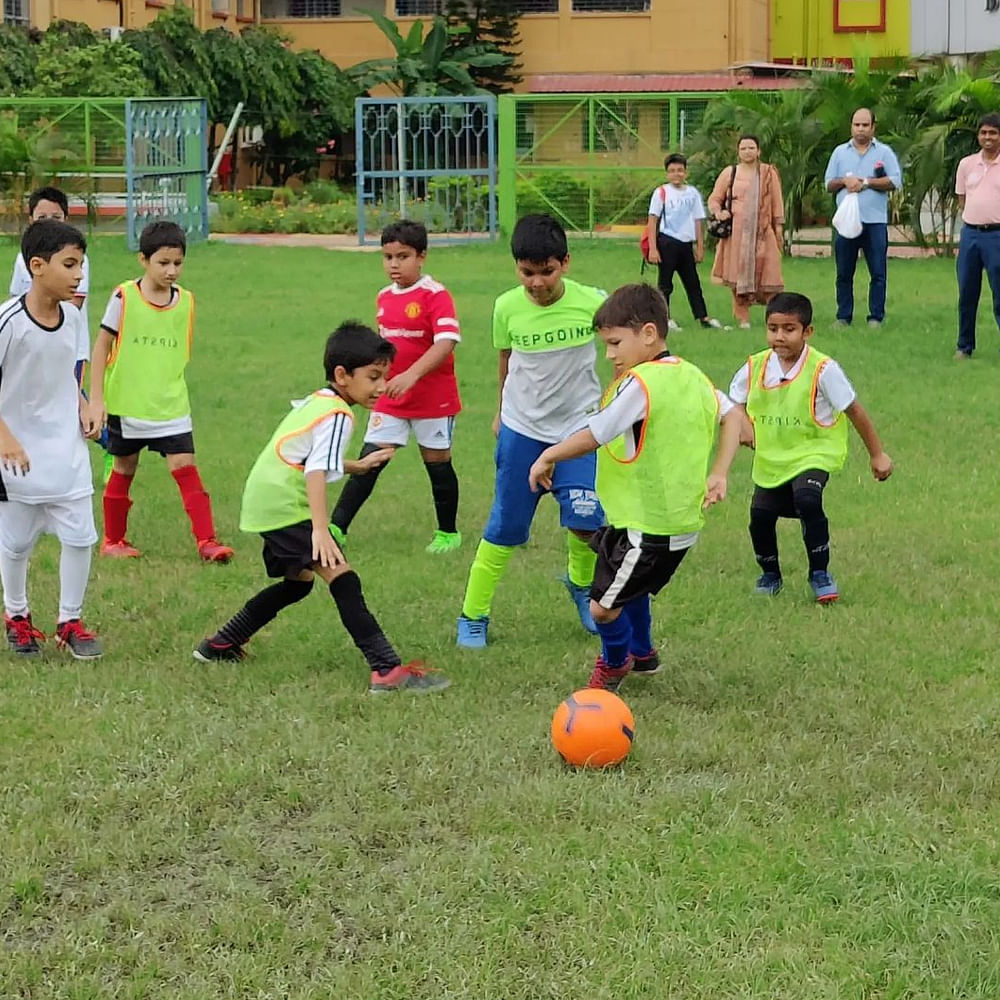 Sports equipment,Plant,Shorts,Football,Soccer,Playing sports,Ball,Grass,Player,Ball game