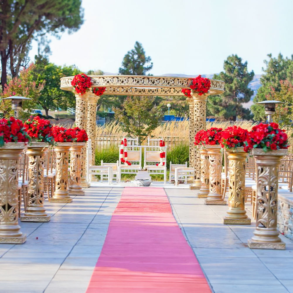 Flower,Plant,Sky,Decoration,Flowerpot,Petal,Tree,Leisure,Flooring,Building