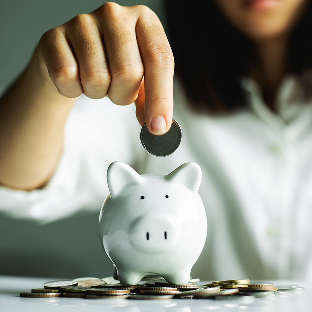 Vertebrate,Mammal,Gesture,Finger,Happy,Saving,Nail,Snout,Thumb,Piggy bank