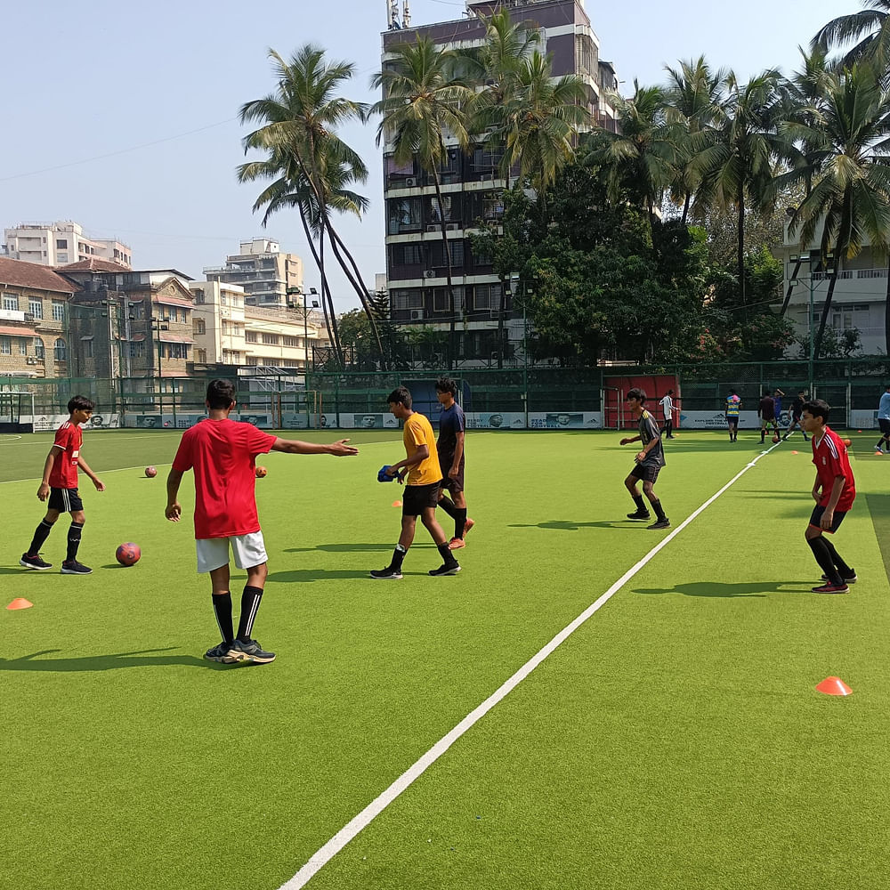 Sky,Plant,Sports equipment,Tree,Building,Player,Grass,Football,Ball game,Leisure