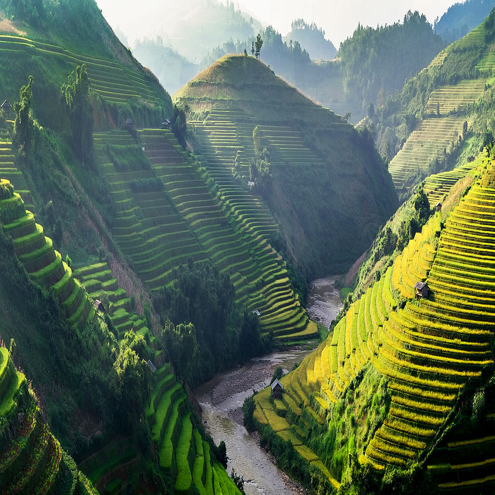 Mountain,Plant,Terrace,Green,Natural landscape,Sky,Highland,Terrestrial plant,Atmospheric phenomenon,Tree