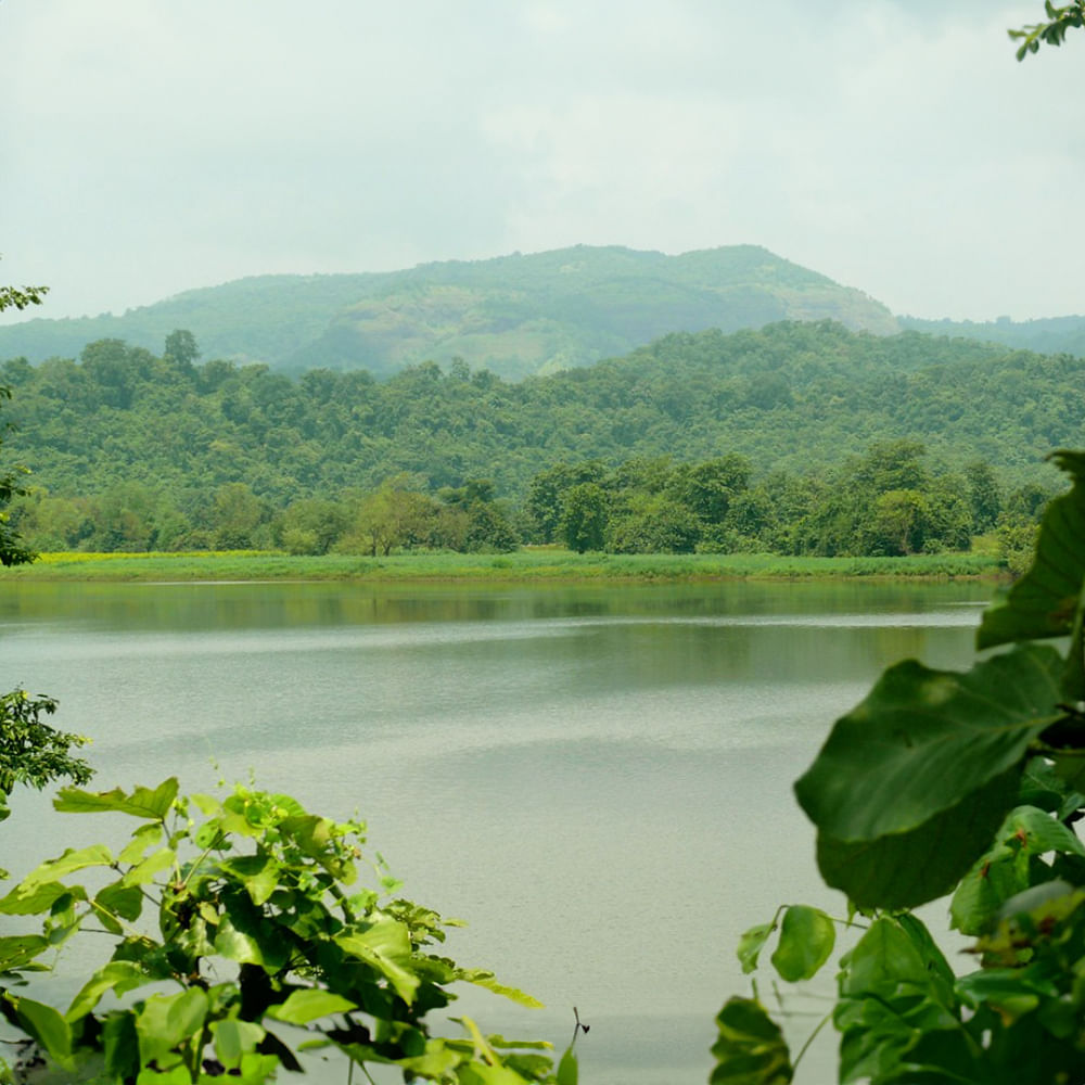 Water,Sky,Cloud,Water resources,Mountain,Plant,Ecoregion,Green,Natural landscape,Lake