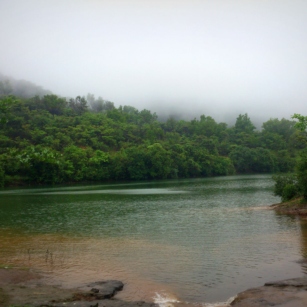 Water,Sky,Cloud,Natural landscape,Fluvial landforms of streams,Tree,Lake,Fog,Atmospheric phenomenon,Plant