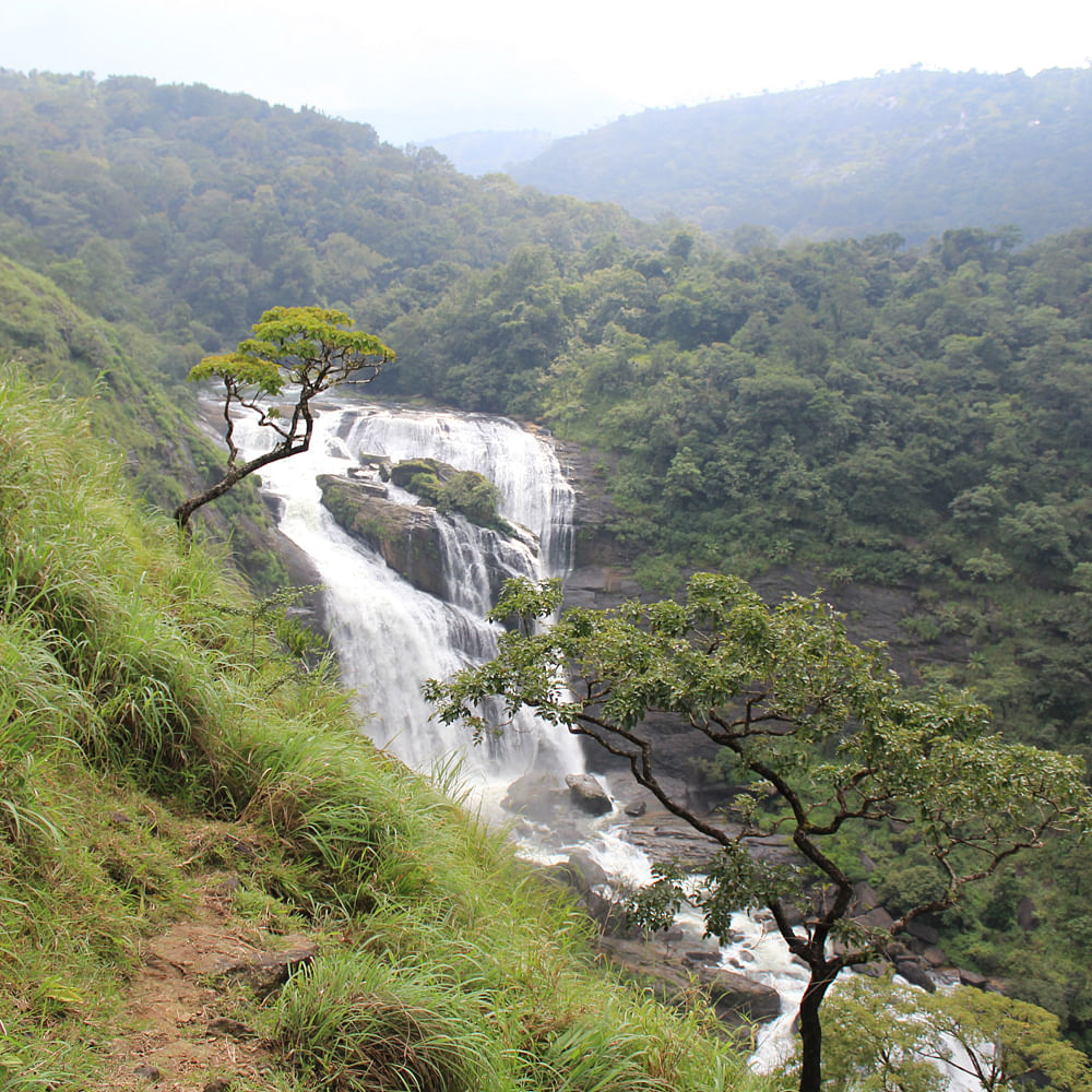 Water,Plant,Sky,Mountain,Natural landscape,Tree,Waterfall,Highland,Fluvial landforms of streams,Biome