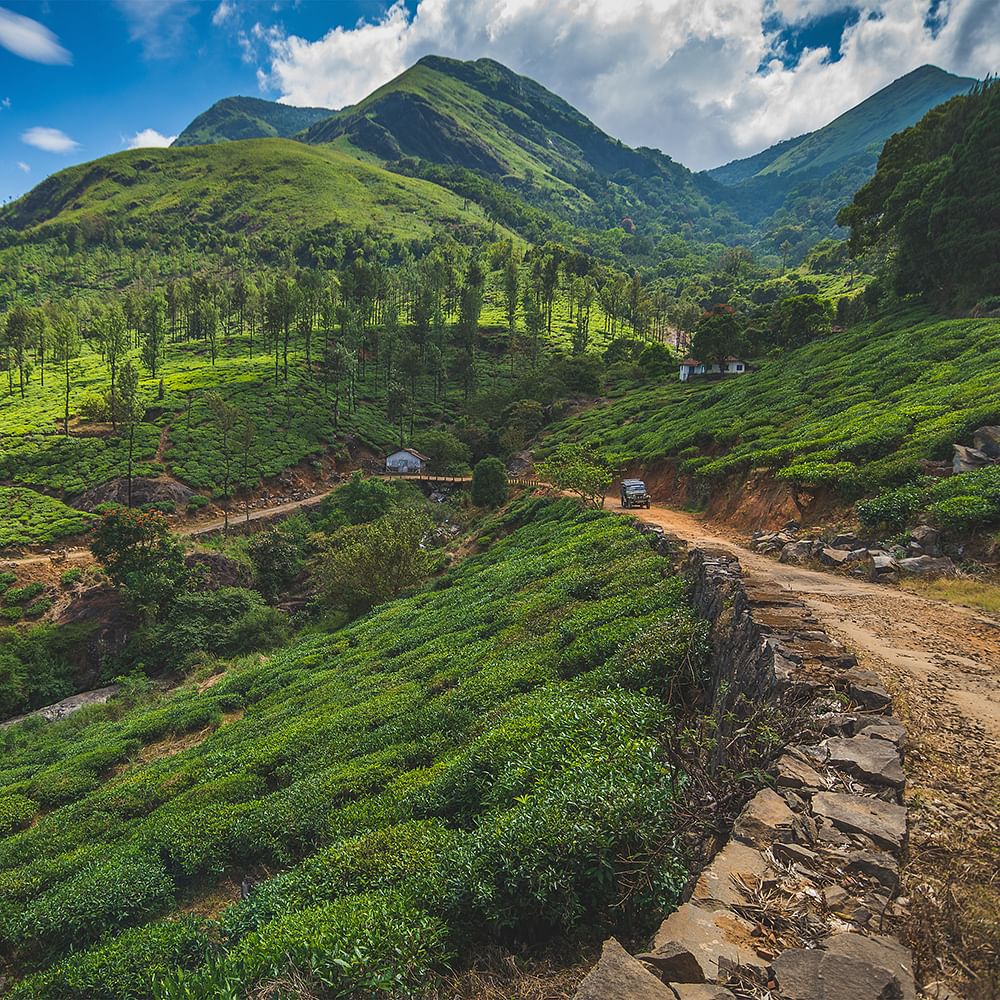 Cloud,Sky,Plant,Mountain,Plant community,Natural landscape,Slope,Grassland,Grass,Terrestrial plant