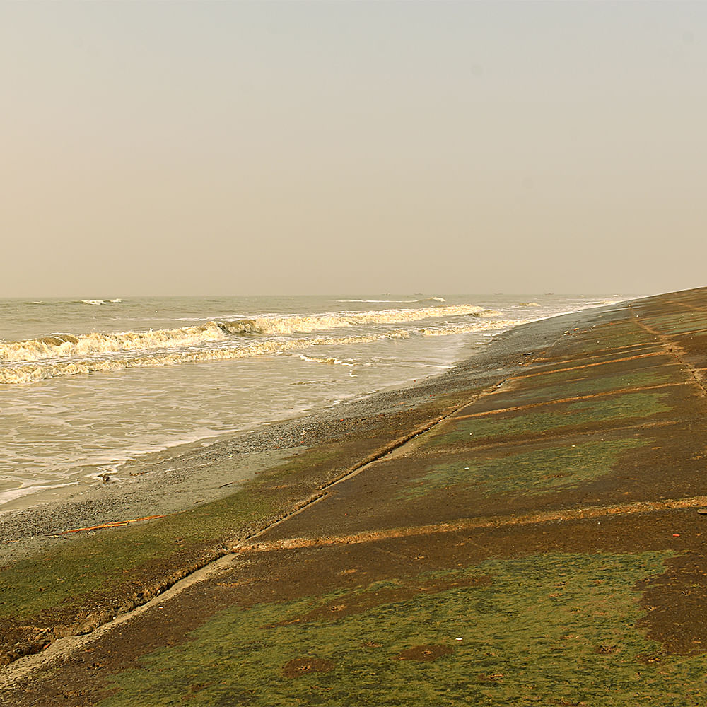 Water,Sky,Fluid,Wood,Coastal and oceanic landforms,Horizon,Wind wave,Tints and shades,Landscape,Natural landscape