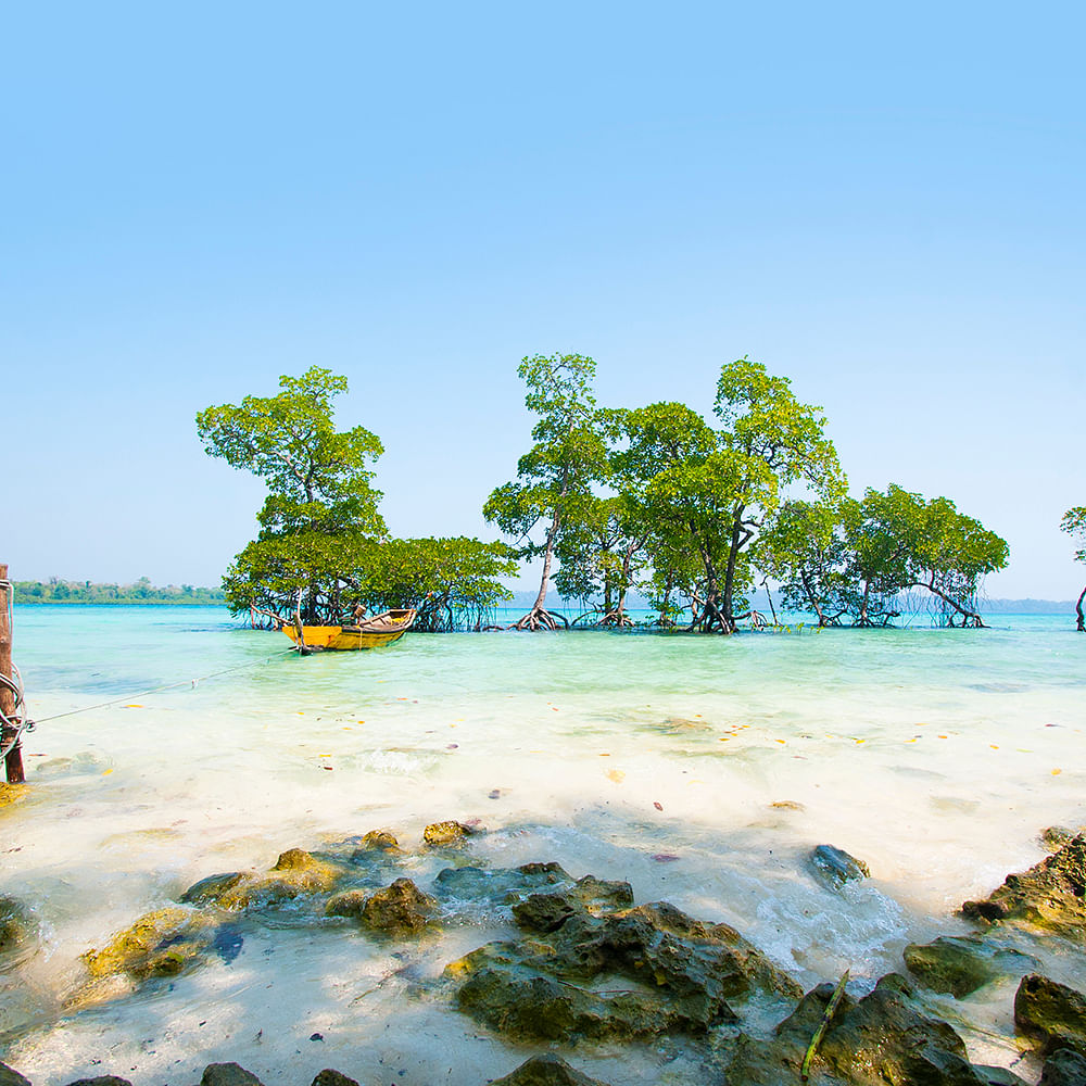 Water,Sky,Natural landscape,Beach,Tree,Plant,Arecales,Landscape,Horizon,Travel