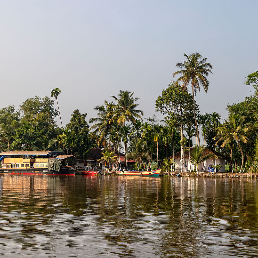 Water,Sky,Water resources,Plant,Tree,Lake,Arecales,Bank,Leisure,Terrestrial plant