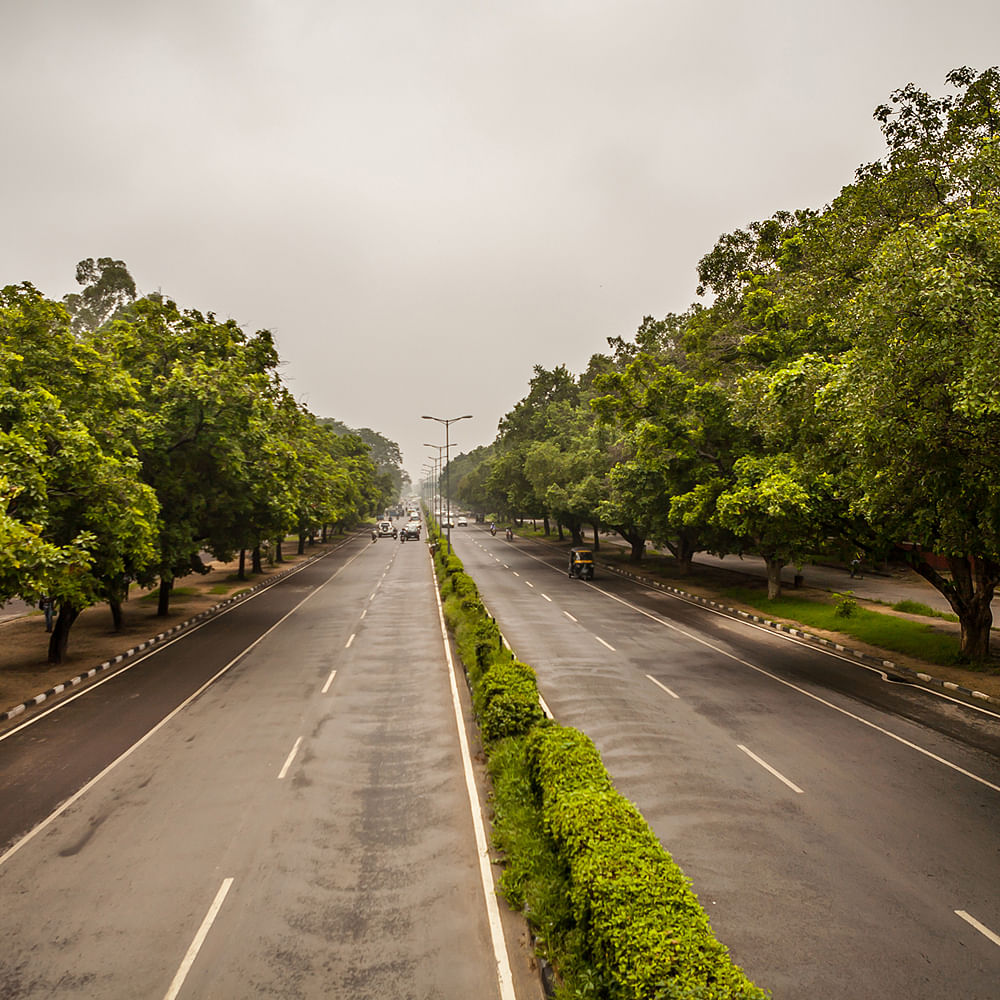 Plant,Sky,Cloud,Road surface,Natural landscape,Asphalt,Tree,Land lot,Grass,Thoroughfare