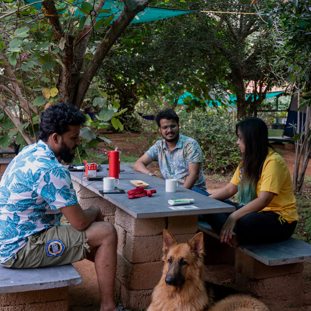 Table,Photograph,Plant,Sharing,Tree,Outdoor furniture,Leisure,Outdoor table,Adaptation,Shorts