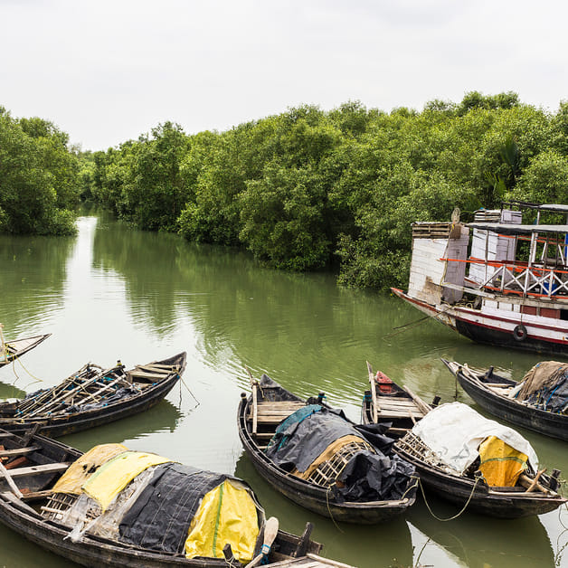 Piyali Island: Untouched Island Near Kolkata For A Weekend Trip I LBB