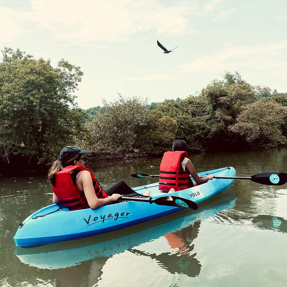 Water,Boat,Cloud,Sky,Plant community,Paddle,Bird,Boats and boating--Equipment and supplies,Nature,Tree