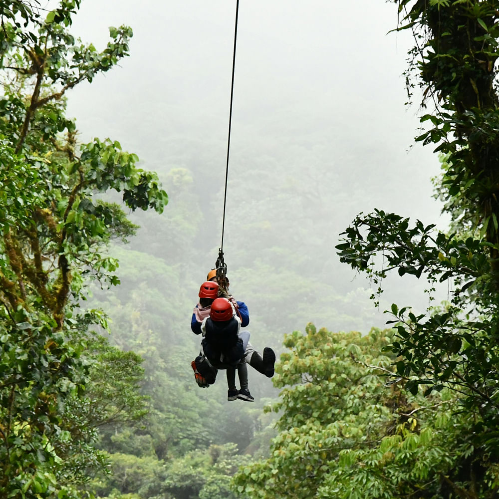 Sky,Tree,Rock-climbing equipment,Stunt performer,Recreation,Leisure,Rope,Forest,Terrestrial plant,Climbing