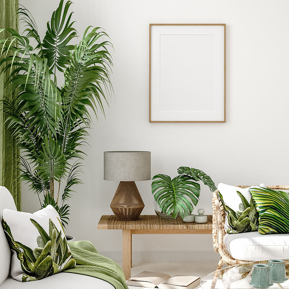 Plant,Couch,Property,Furniture,Comfort,Green,Picture frame,Houseplant,Rectangle,Interior design