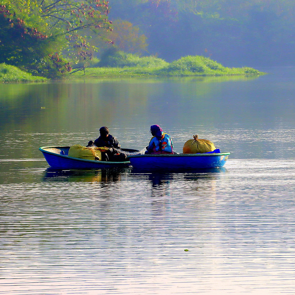 Water,Boat,Watercraft,Vehicle,Boats and boating--Equipment and supplies,Lake,Tree,Oar,Paddle,Canoe