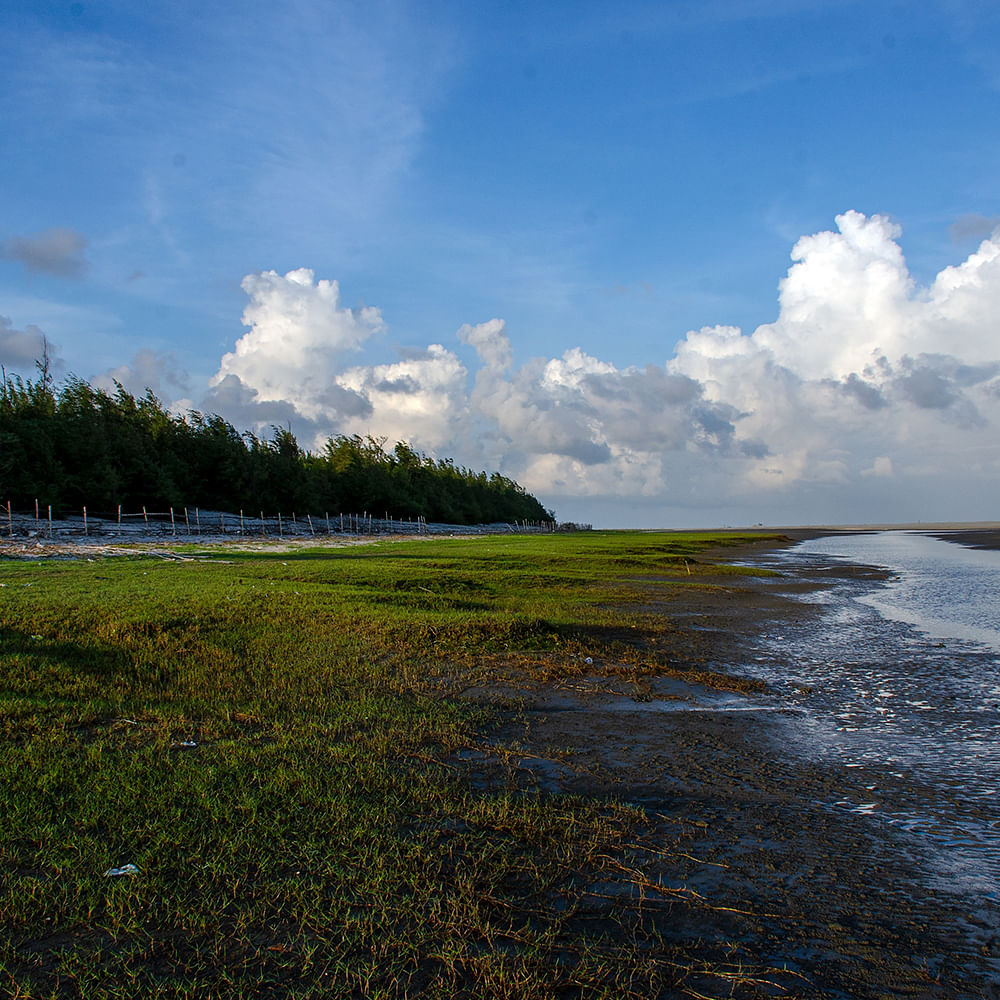 Cloud,Sky,Water,Plant,Natural environment,Natural landscape,Highland,Coastal and oceanic landforms,Cumulus,Bank