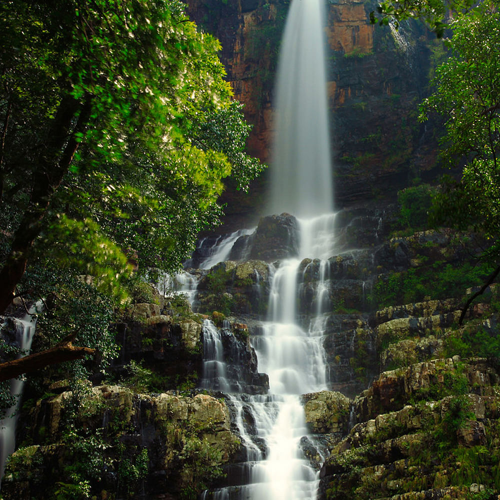 Water,Water resources,Ecoregion,Natural landscape,Fluvial landforms of streams,Plant,Natural environment,Waterfall,Sunlight,Watercourse