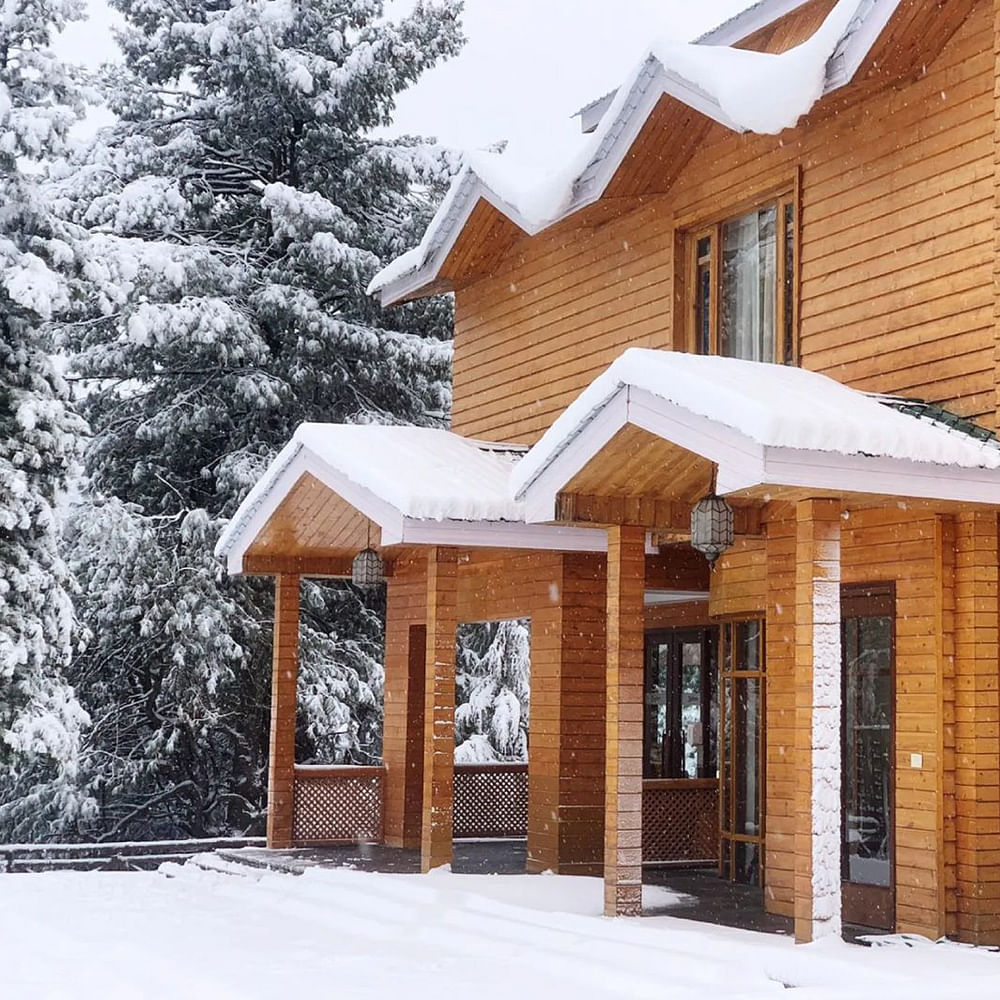 Snow,Window,Building,Tree,Door,Wood,House,Shade,Twig,Cottage