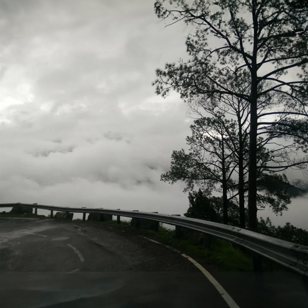 Cloud,Sky,Plant,Road surface,Asphalt,Natural landscape,Grey,Tree,Style,Black-and-white