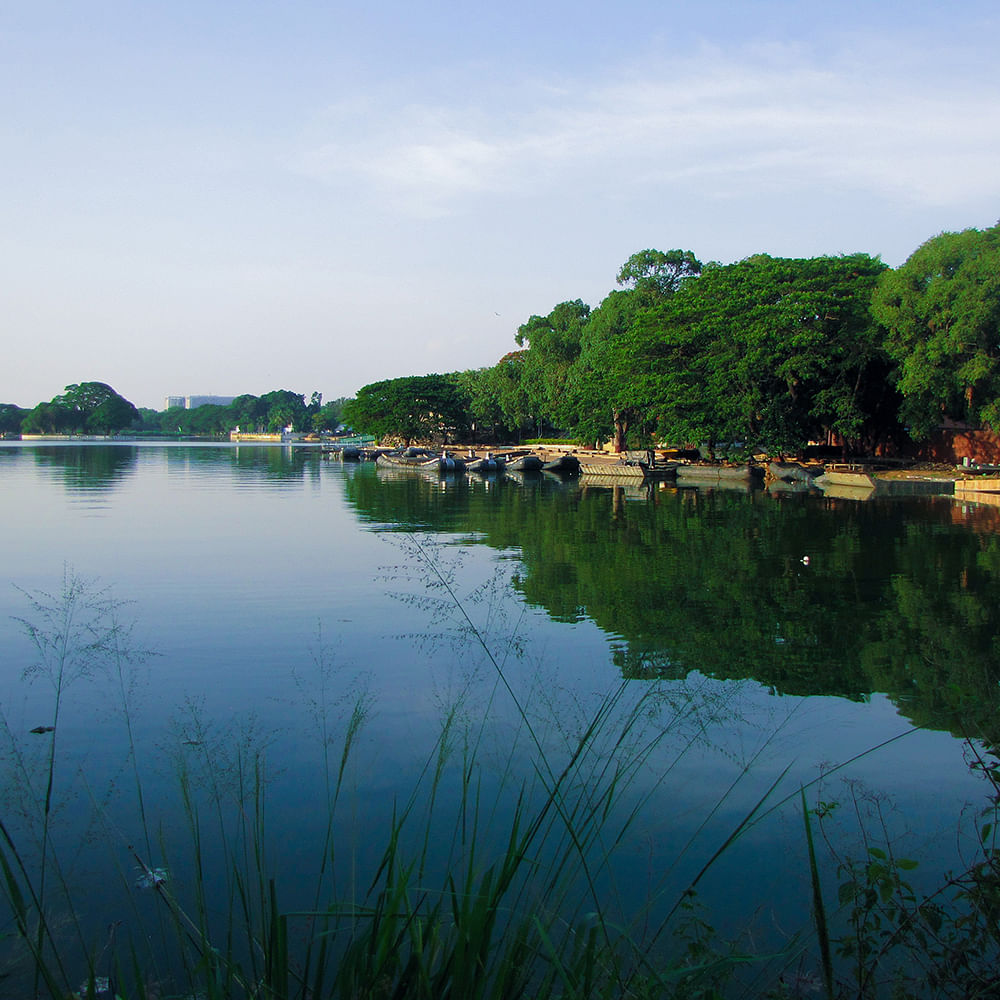 Water,Sky,Cloud,Plant,Water resources,Tree,Lake,Natural landscape,Horizon,Lacustrine plain