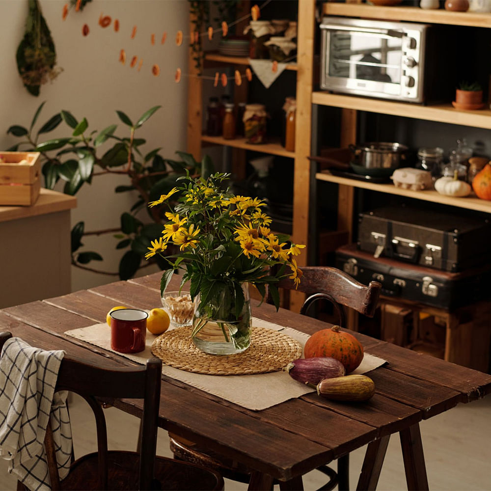 Table,Furniture,Property,Plant,Shelf,Chair,Flower,Interior design,Flowerpot,Orange