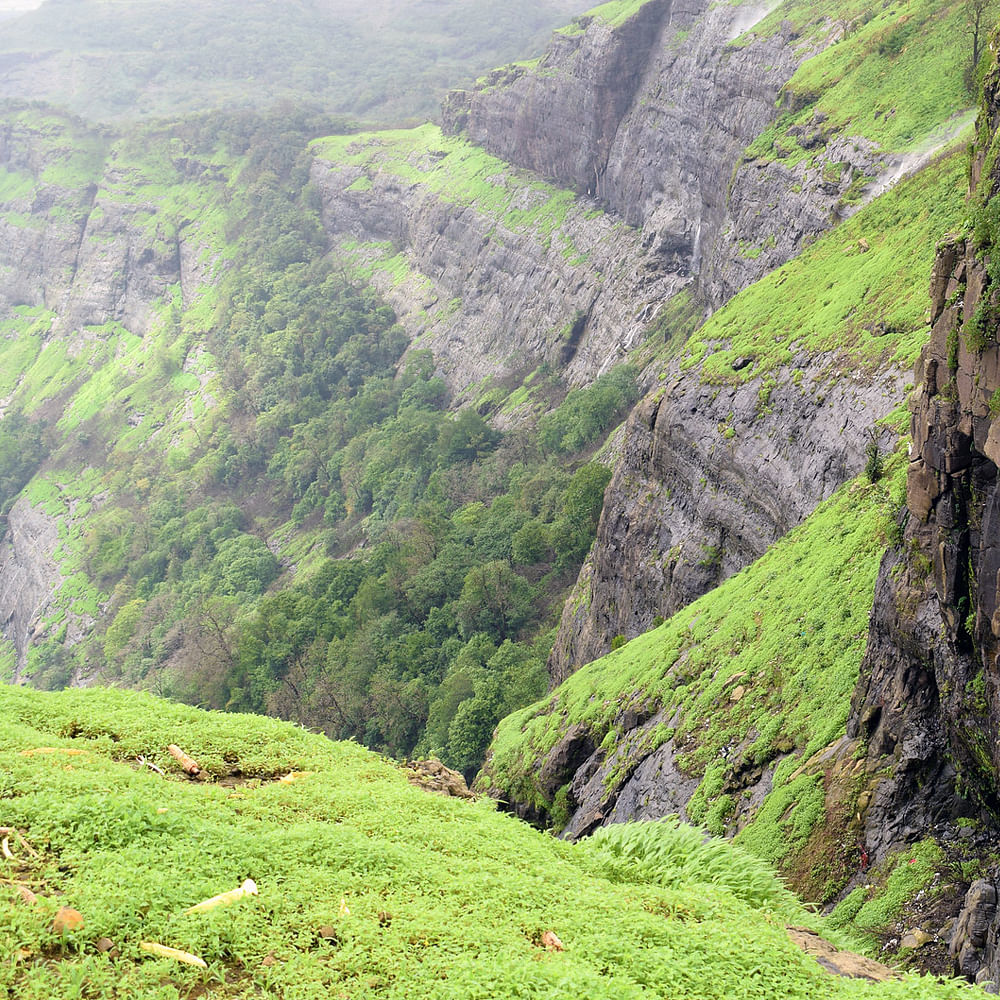 Mountain,Plant community,Ecoregion,Nature,Natural landscape,Plant,Highland,Vegetation,Grass,Slope