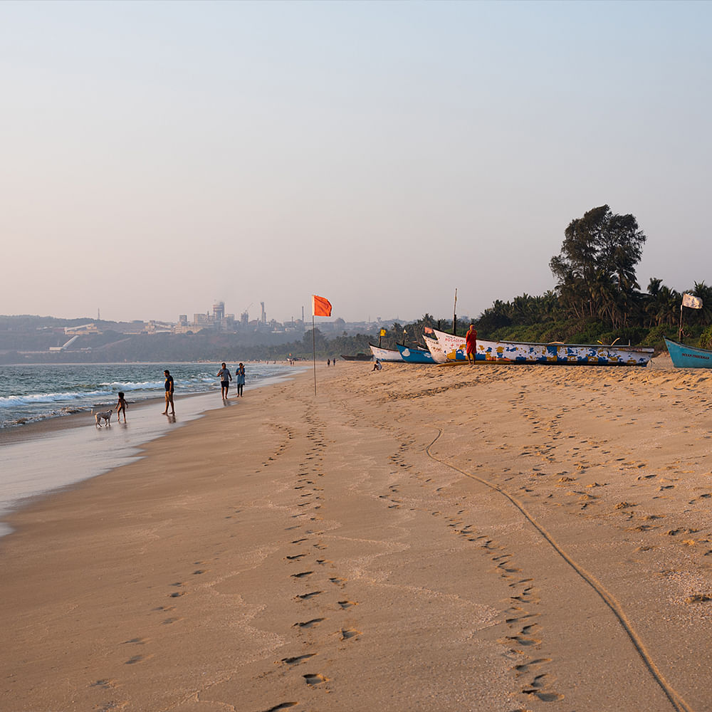 Water,Sky,People on beach,Tree,Beach,Coastal and oceanic landforms,Horizon,Landscape,Travel,Wind wave