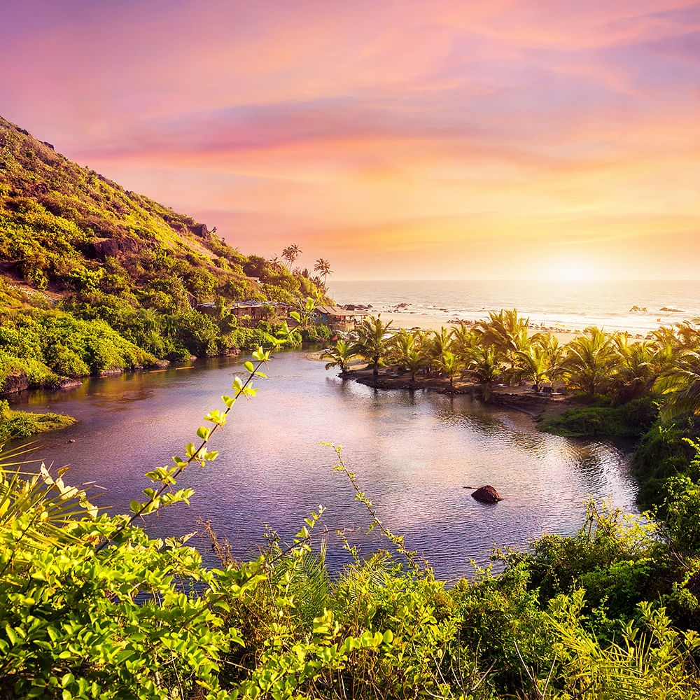 Water,Cloud,Sky,Natural landscape,Afterglow,Plant,Lake,Sunlight,Dusk,Sunrise