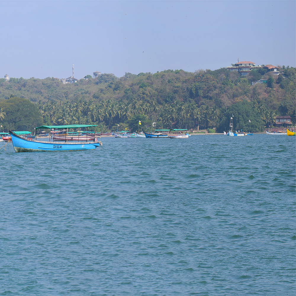 img-gallery-featured