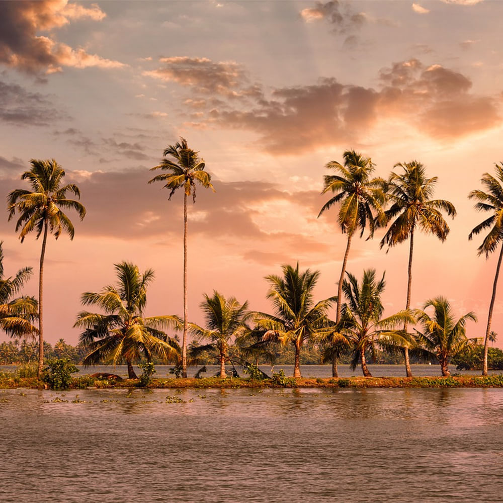 Sky,Tree,Body of water,Cloud,Vegetation,Beach,Coastal and oceanic landforms,Coast,Tropics,Sunset