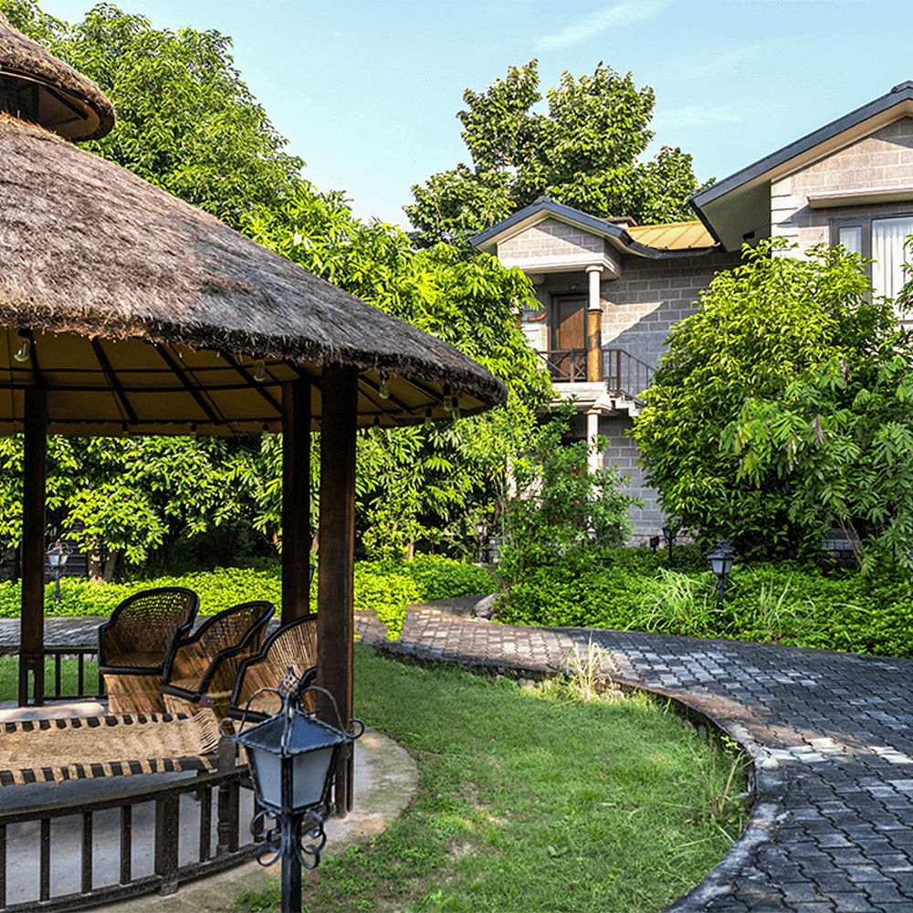 Garden,Shade,Groundcover,Backyard,Landscaping,Lawn,Cottage,Outdoor Structure,Yard,Chair