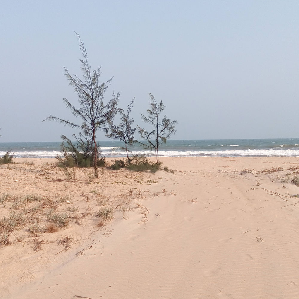 img-gallery-featured