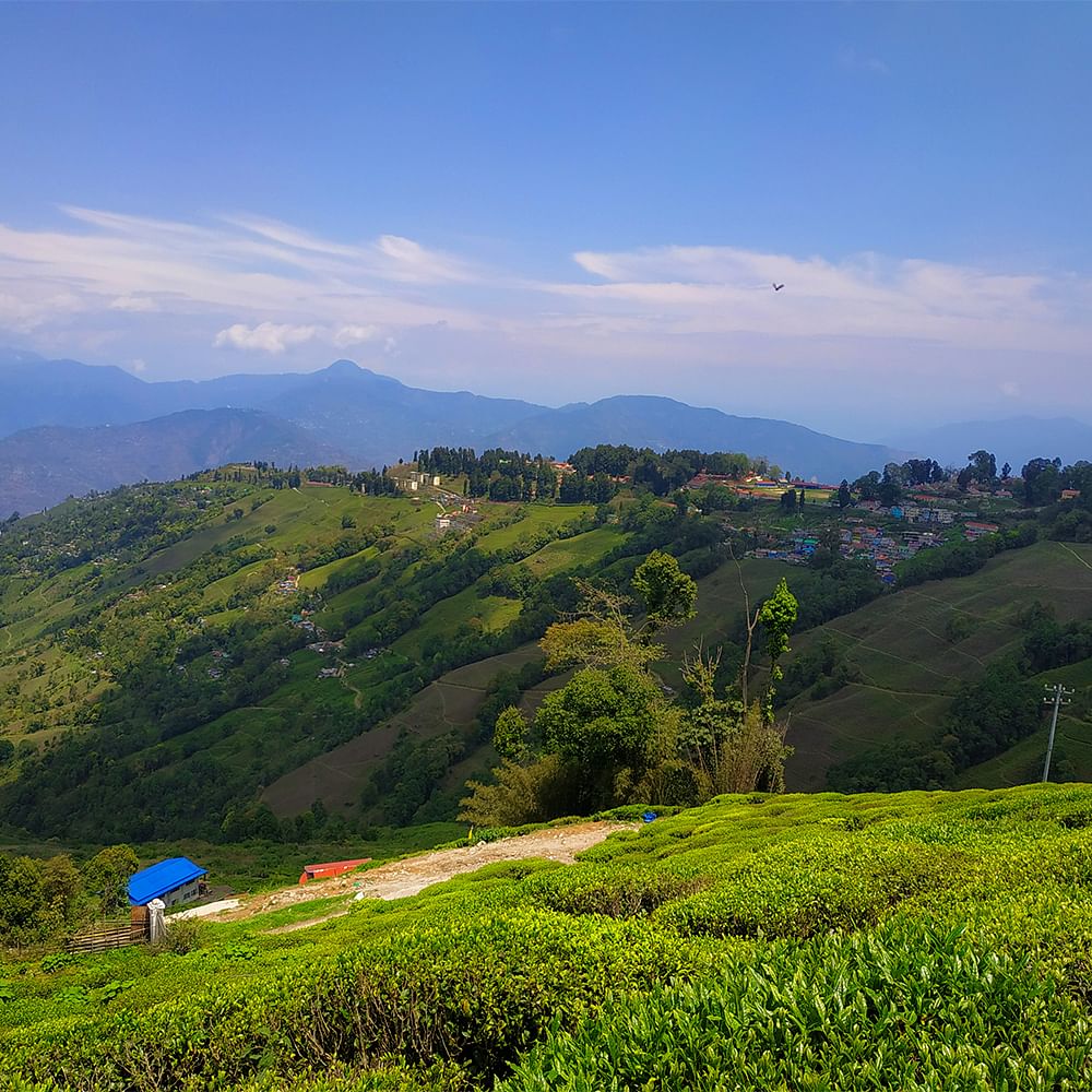 Mountainous landforms,Green,Grass,Hill,Mountain,Vegetation,Natural landscape,Highland,Grassland,Hill station