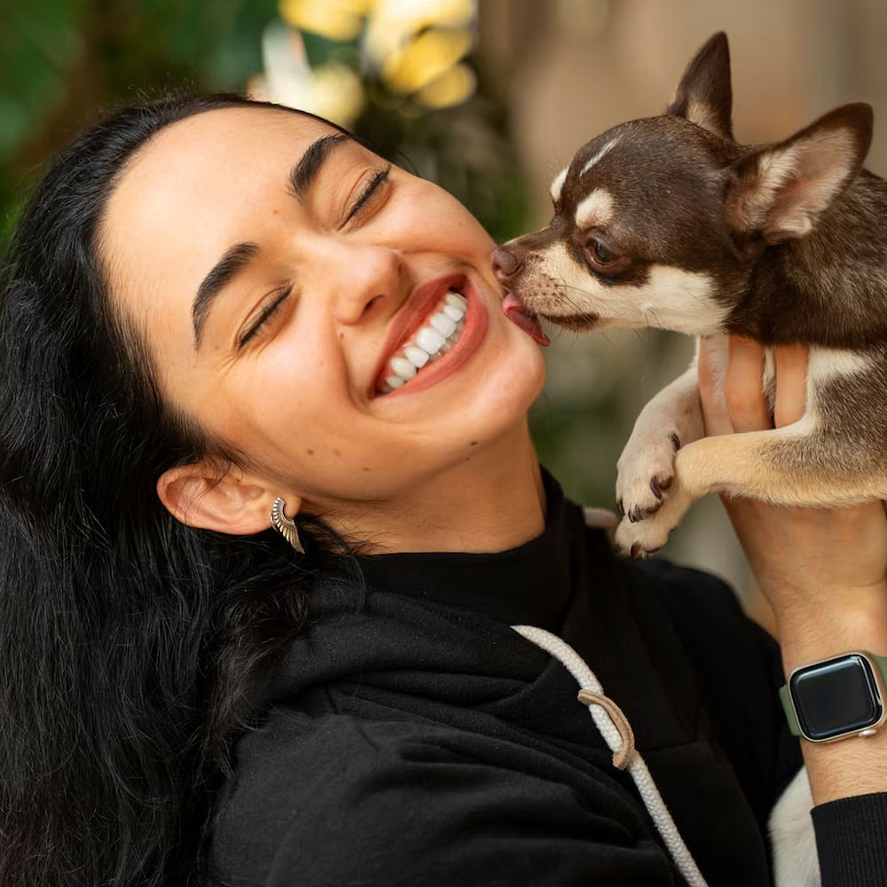 Dog,Smile,Happiness,Facial expression,Tooth,Carnivores,Toy dog,Snout,Canidae,Fur