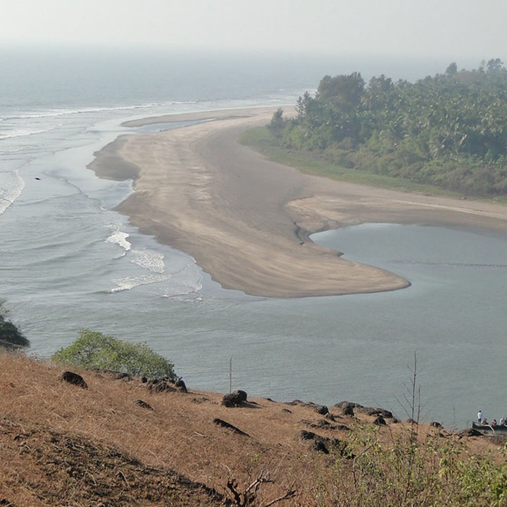 Coast,Coastal and oceanic landforms,Shore,Beach,Sand,Bay,Shoal,Palm trees,Raised beach,Wetland