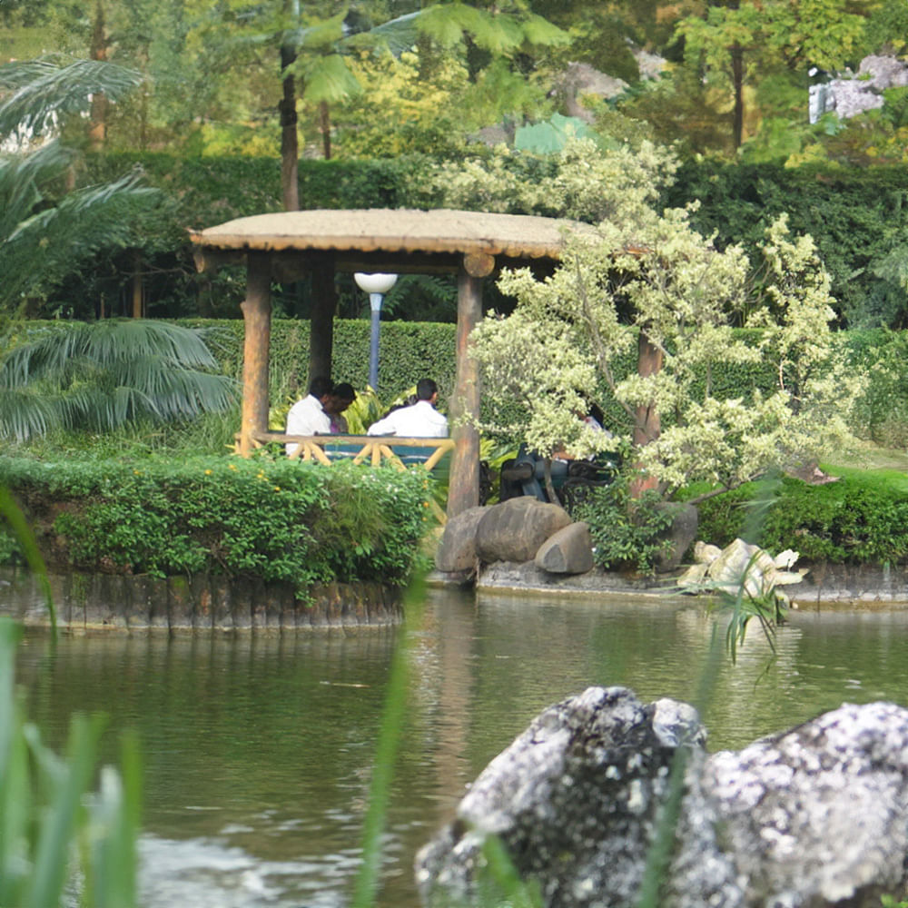 Body of water,Plants,Garden,Watercourse,Bank,Pond,Lake,Botanical garden,Riparian zone,Outdoor Structure