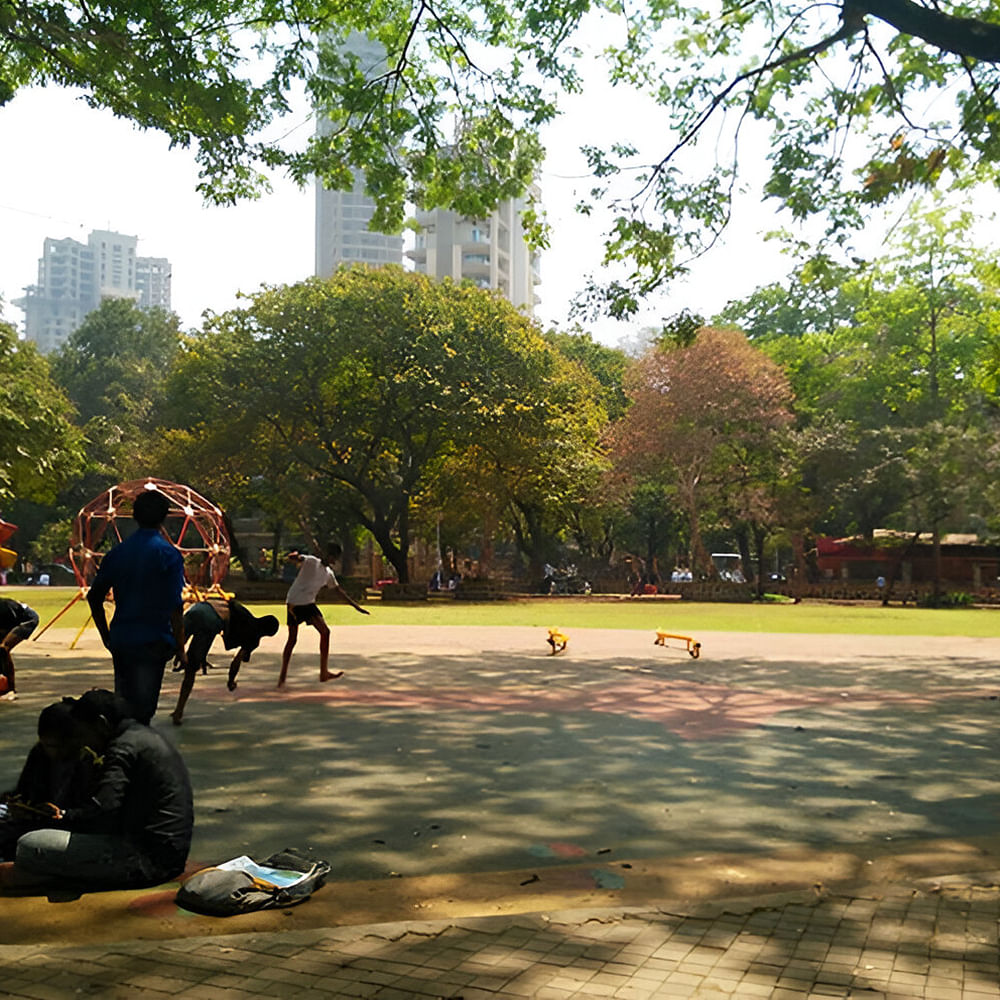 Tree,Recreation,Public space,Leisure,Shade,Park,Vacation,Walking