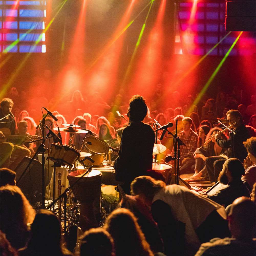 People,Entertainment,Performing Arts,Performance,Crowd,Music,Stage,Musical instrument,Event,Public event