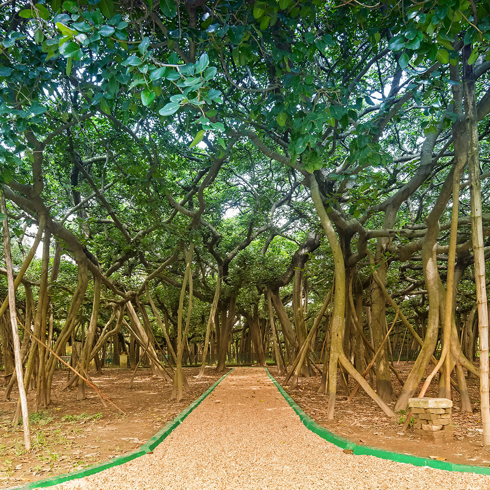 img-gallery-featured