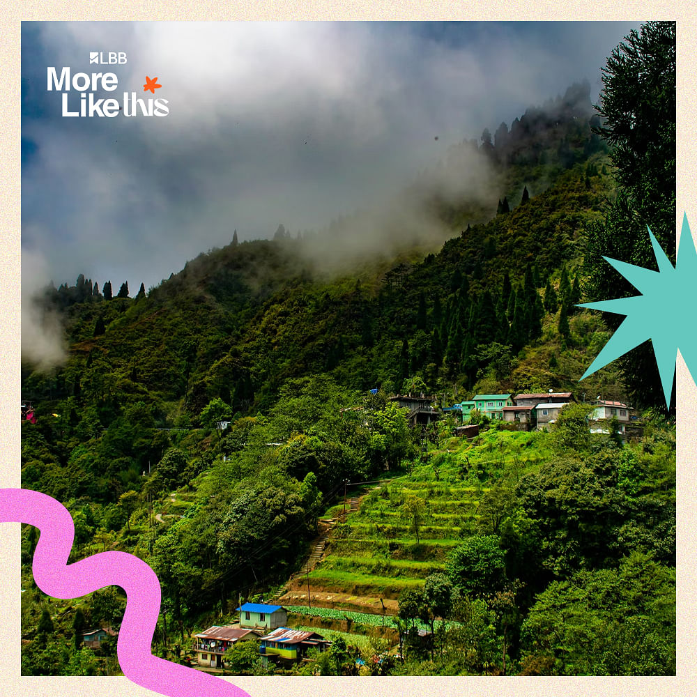 Vegetation,Highland,Hill station,Forest,Tourist attraction,Jungle,Valley,Plantation,Rainforest,Mountain Village